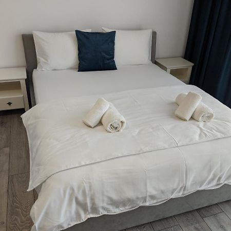Alina'S Deluxe Apartment And Free Private Parking Dumbravita  外观 照片