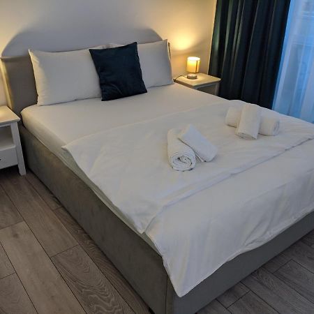 Alina'S Deluxe Apartment And Free Private Parking Dumbravita  外观 照片