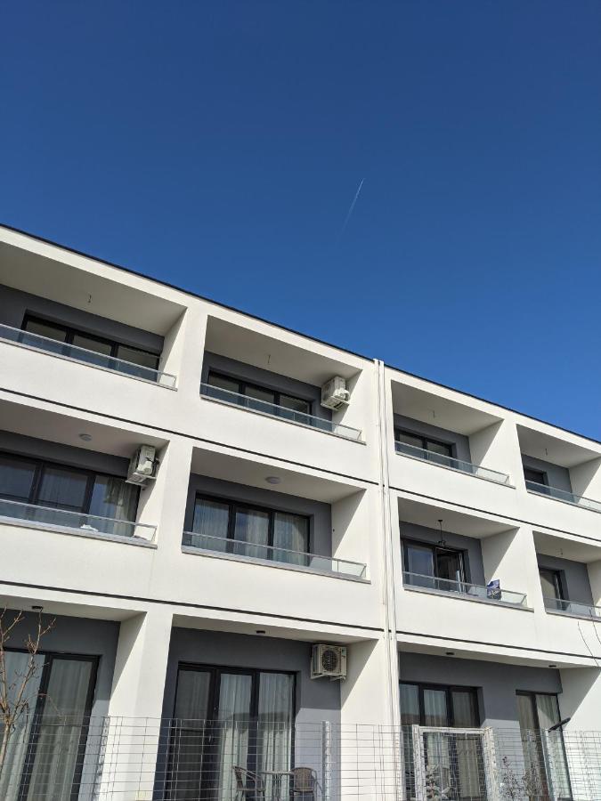 Alina'S Deluxe Apartment And Free Private Parking Dumbravita  外观 照片