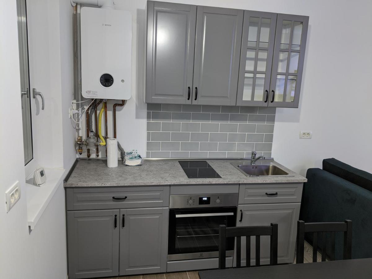 Alina'S Deluxe Apartment And Free Private Parking Dumbravita  外观 照片