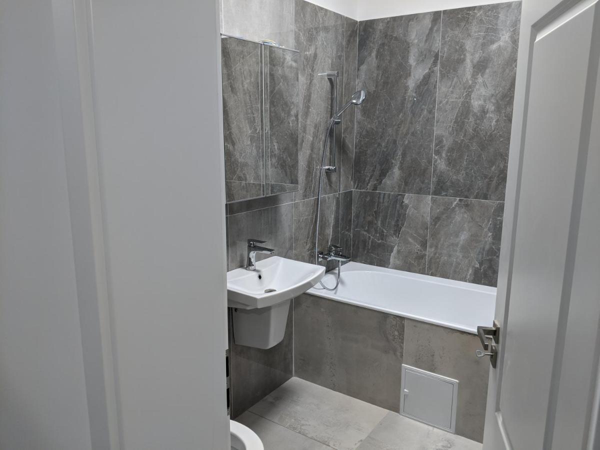 Alina'S Deluxe Apartment And Free Private Parking Dumbravita  外观 照片