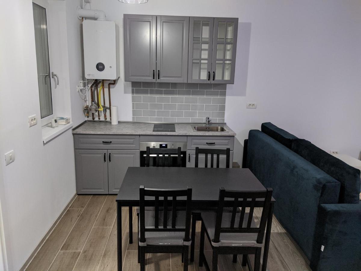 Alina'S Deluxe Apartment And Free Private Parking Dumbravita  外观 照片