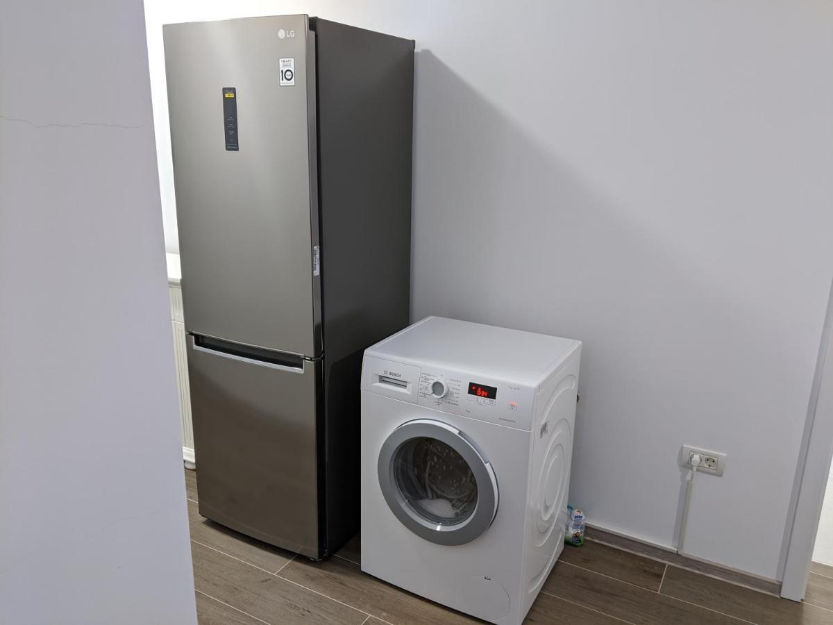Alina'S Deluxe Apartment And Free Private Parking Dumbravita  外观 照片