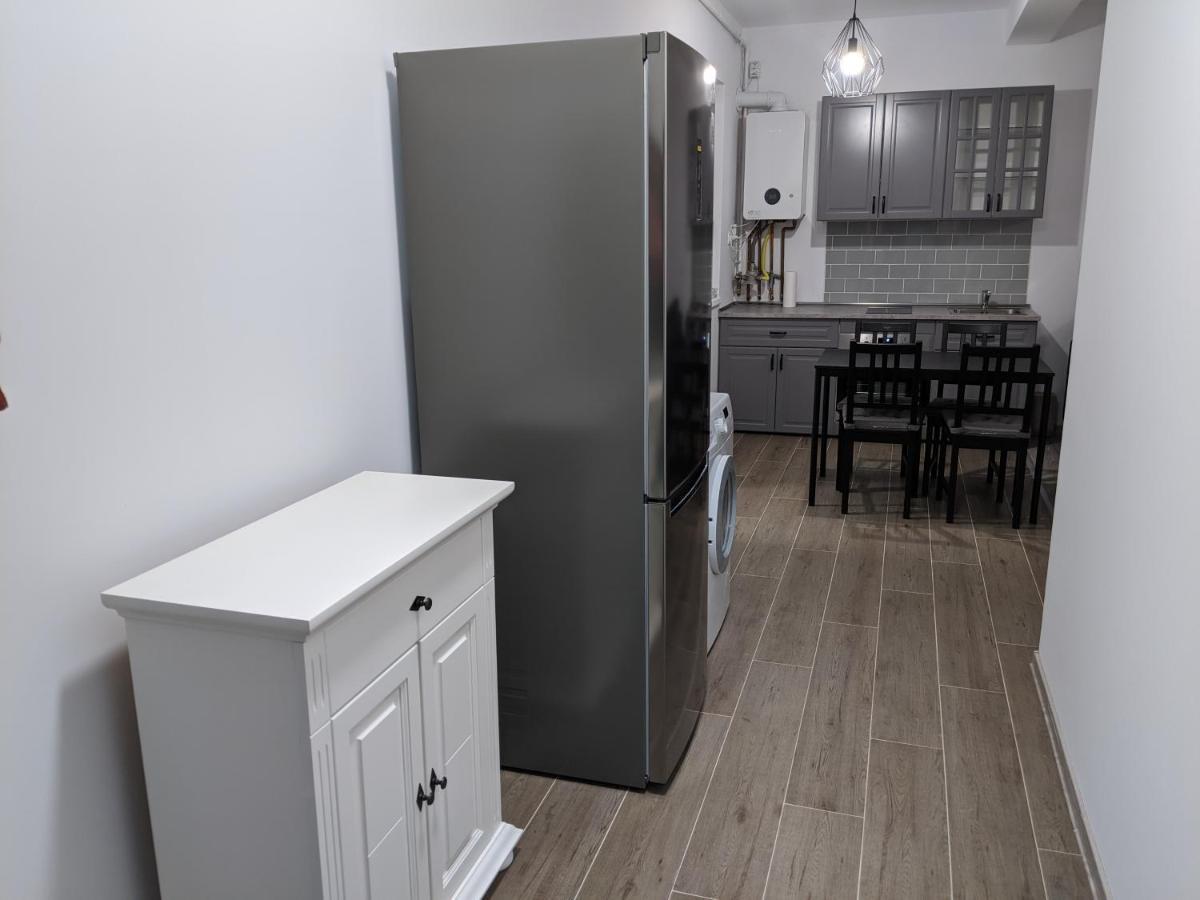Alina'S Deluxe Apartment And Free Private Parking Dumbravita  外观 照片