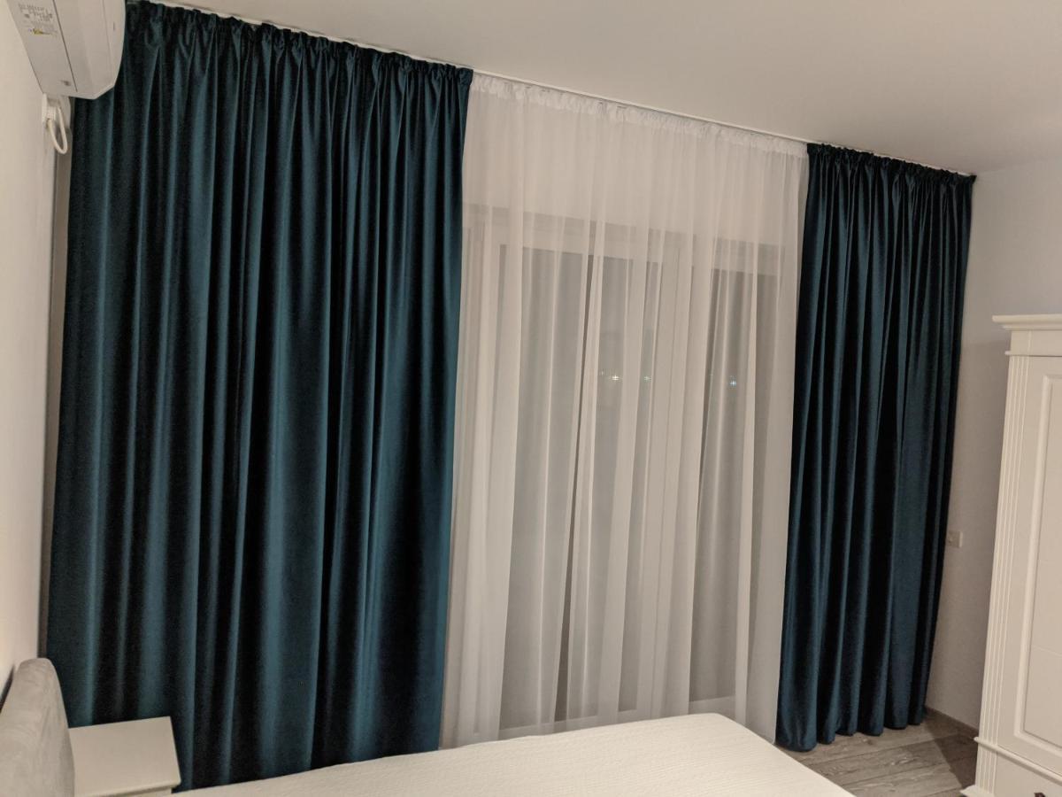 Alina'S Deluxe Apartment And Free Private Parking Dumbravita  外观 照片