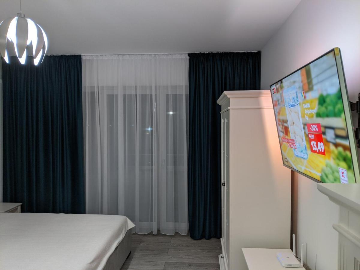 Alina'S Deluxe Apartment And Free Private Parking Dumbravita  外观 照片