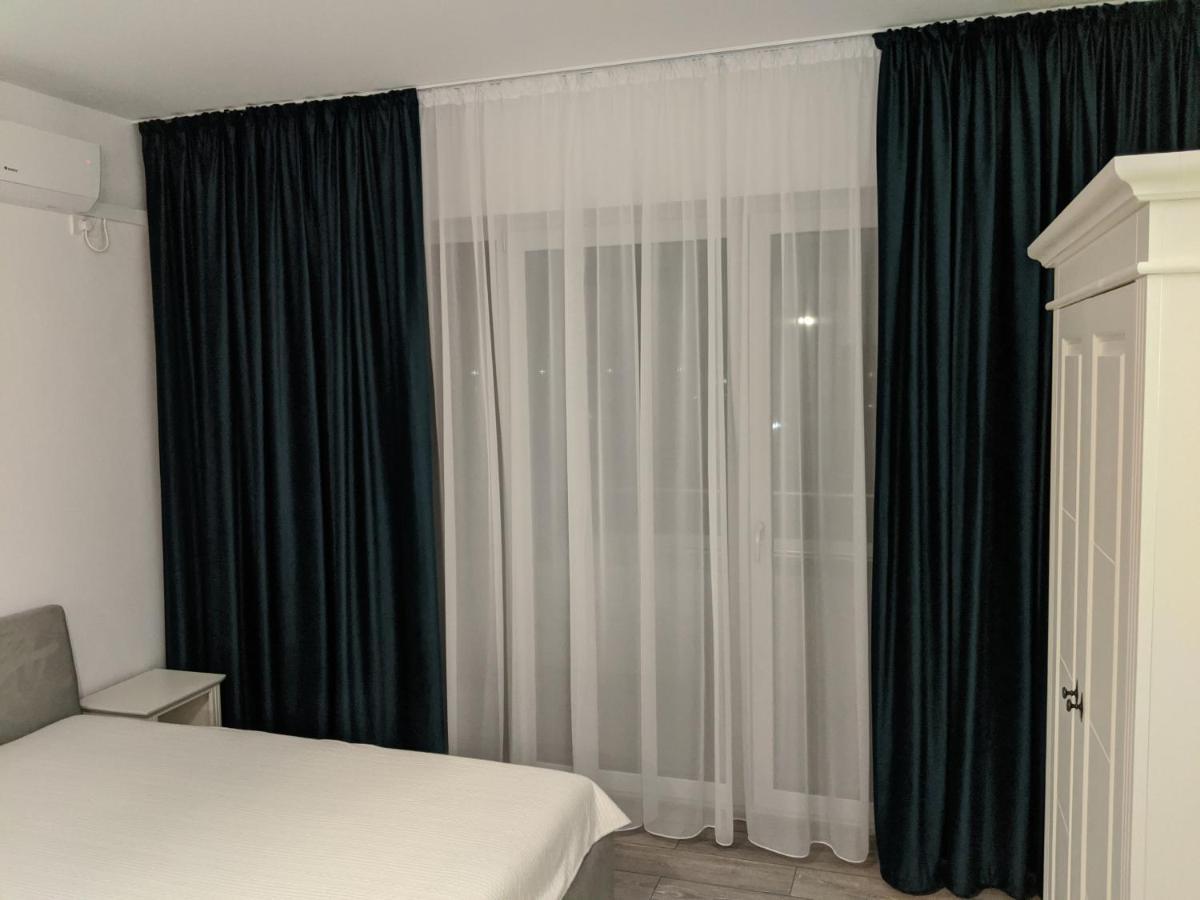 Alina'S Deluxe Apartment And Free Private Parking Dumbravita  外观 照片
