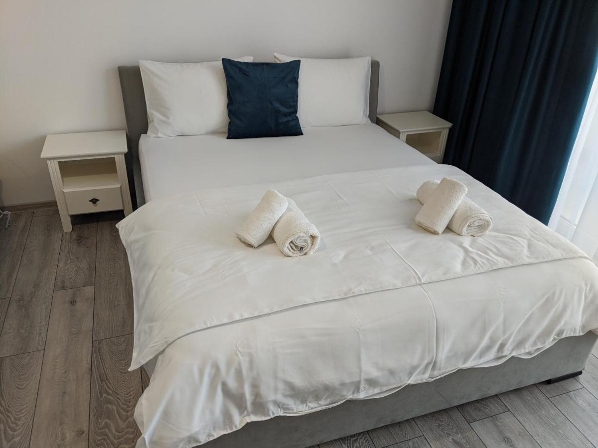 Alina'S Deluxe Apartment And Free Private Parking Dumbravita  外观 照片