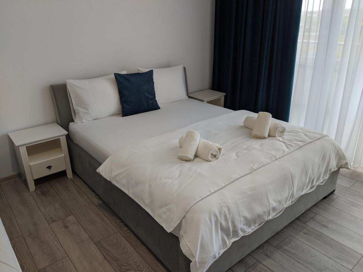 Alina'S Deluxe Apartment And Free Private Parking Dumbravita  外观 照片