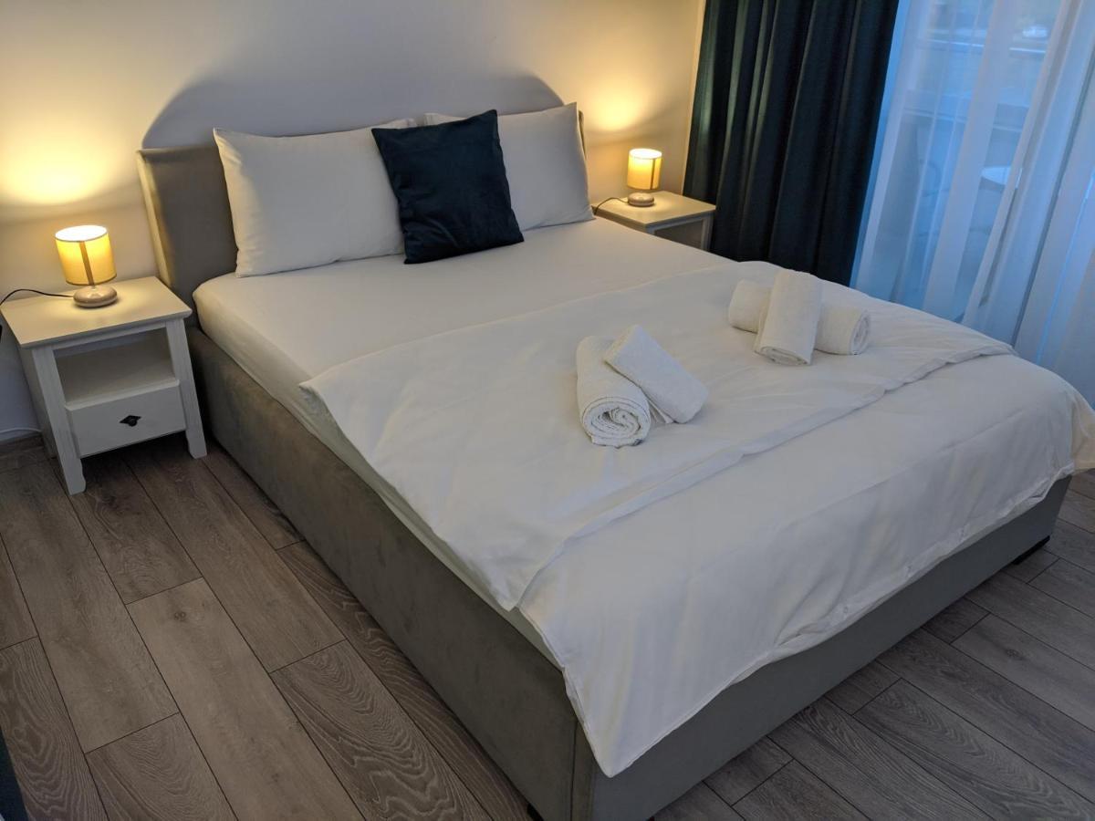 Alina'S Deluxe Apartment And Free Private Parking Dumbravita  外观 照片
