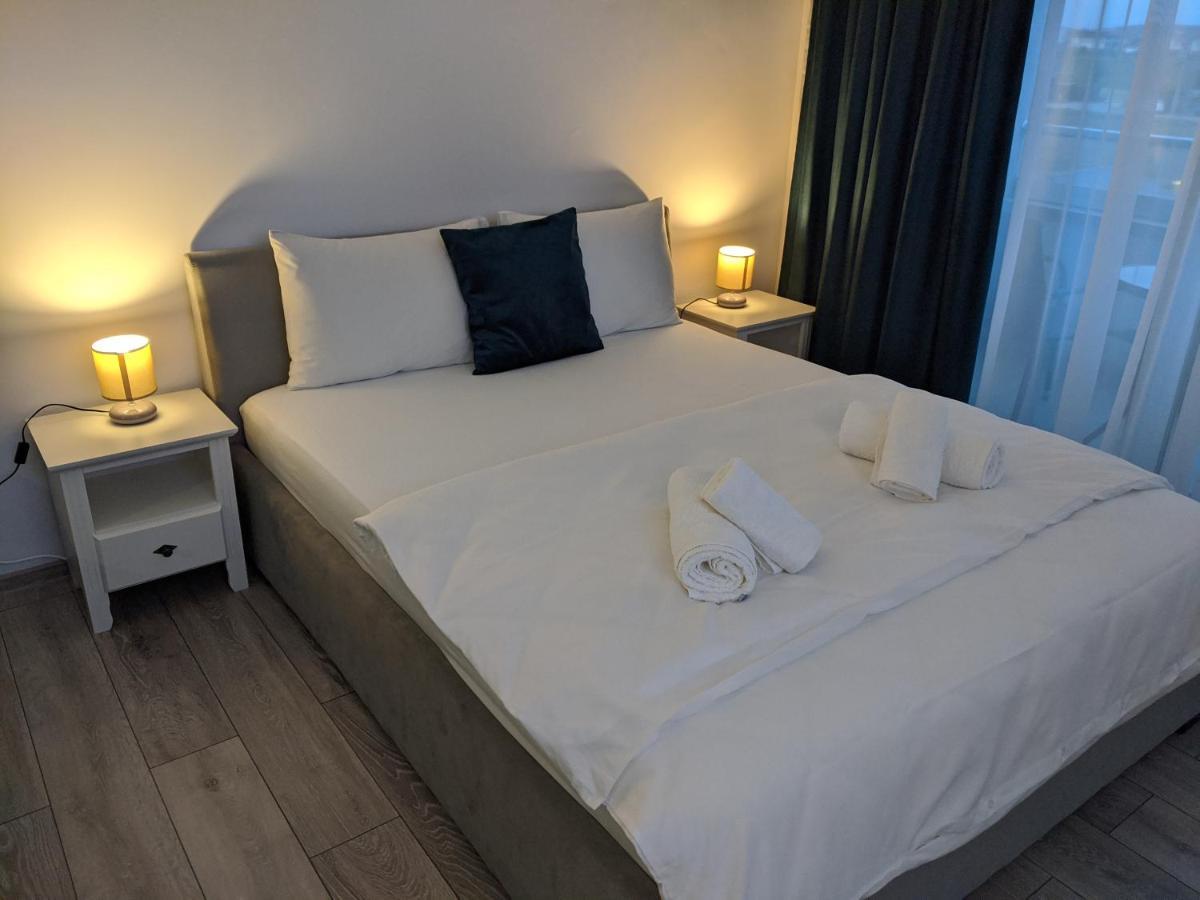 Alina'S Deluxe Apartment And Free Private Parking Dumbravita  外观 照片